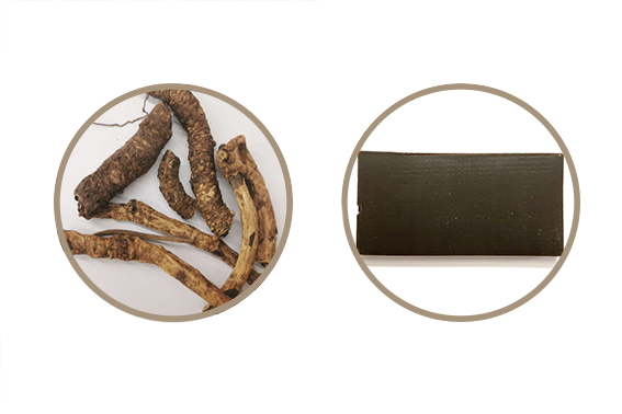 黄连阿胶汤的功效与作用