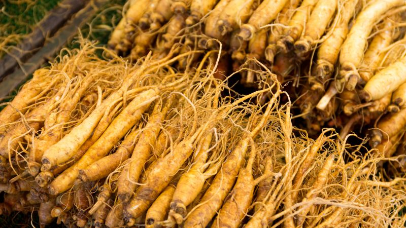 西洋参和淫羊藿的副作用