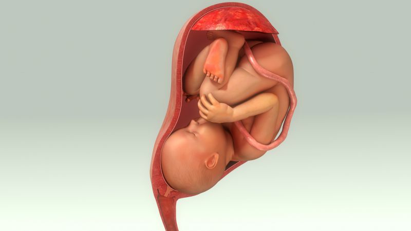 先天性肺发育不良有什么症状