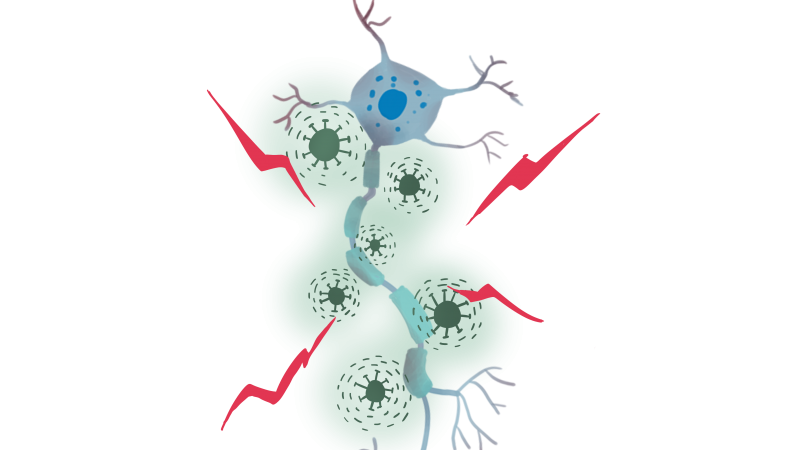 阳性是感染了还是没感染