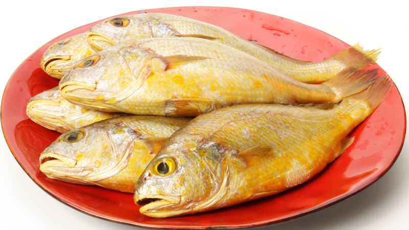 黄鱼的营养价值